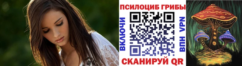 Псилоцибиновые грибы мицелий Балтийск